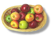 fruechte-tafel-aepfel